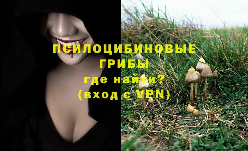 Псилоцибиновые грибы Magic Shrooms  купить наркотики сайты  Почеп 